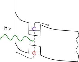 NS-fig1